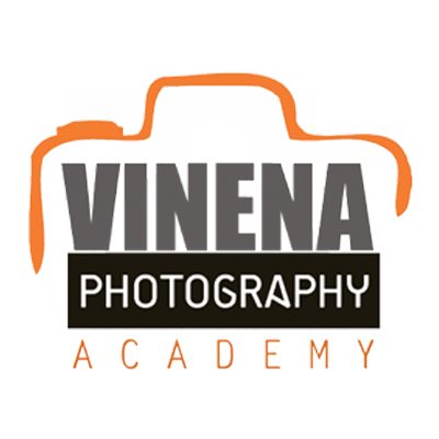 Vinena Logo
